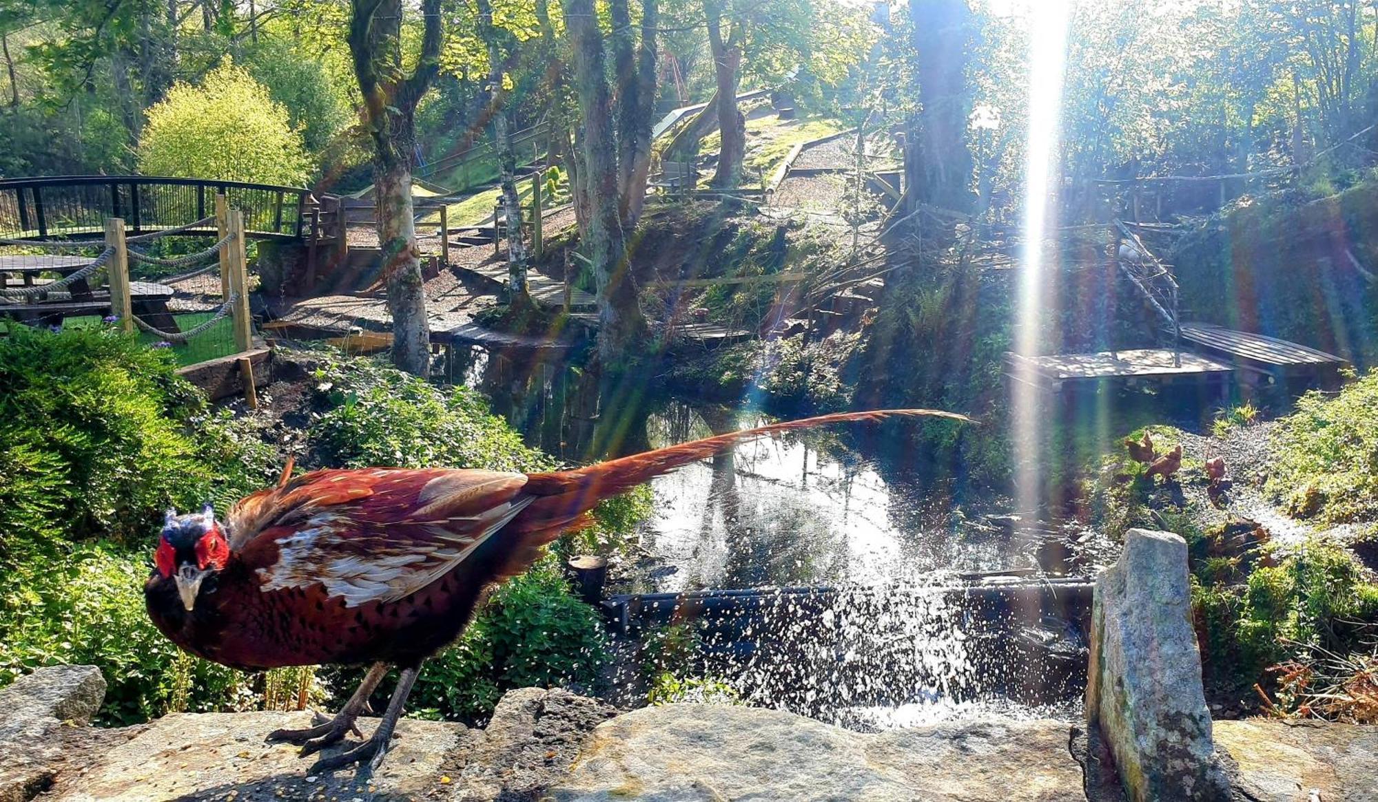 The Little Mill Отель *